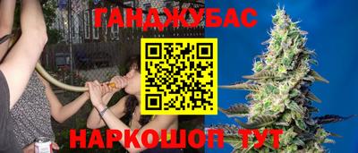 мяу мяу мука Тула