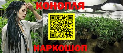 мяу мяу мука Тула