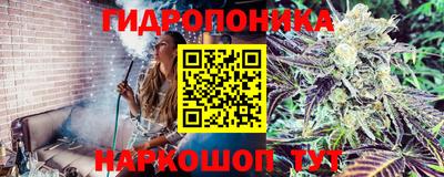 гидра Туймазы