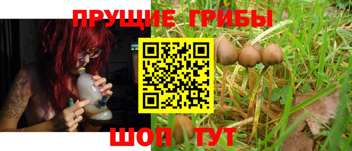Галлюциногенные грибы MAGIC MUSHROOMS Нурлат