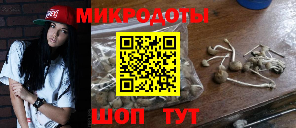 Галлюциногенные грибы Psilocybine cubensis  Галлюциногенные грибы Psilocybine cubensis  Вход с VPN  Нурлат 